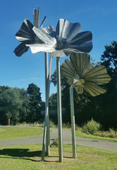 Ann Feely, Flax Flowers in Solutide Park and Banbridge, Co. Down, Ann Feely Artist